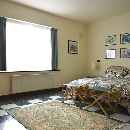 Casa Rizzini Irlanda Mullingar